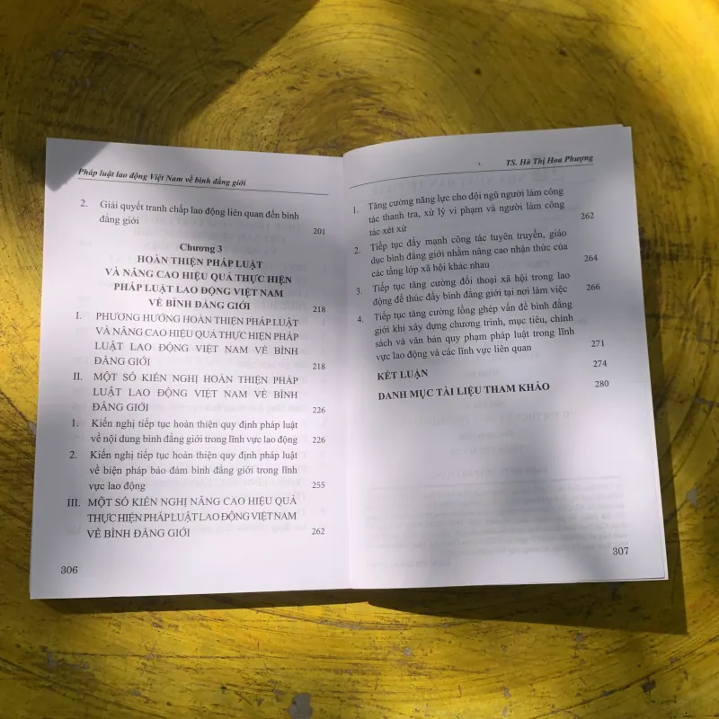 PHÁP LUẬT VIỆT NAM VỀ BÌNH ĐẲNG GIỚI- TS. HÀ THỊ HOA PHƯỢNG  780568