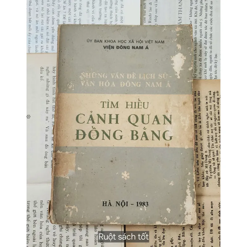 NHỮNG VẤN ĐỀ LỊCH SỬ VĂN HÓA ĐÔNG NAM Á - TÌM HIỂU CẢNH QUAN ĐỒNG BẰNG 707215