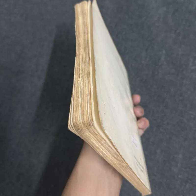 Tùy Viên thi thoại - Viên Mai 763234