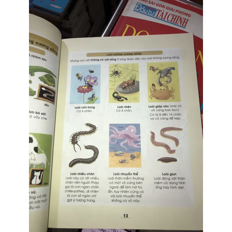 Khoa học thật hấp dẫn  1010087