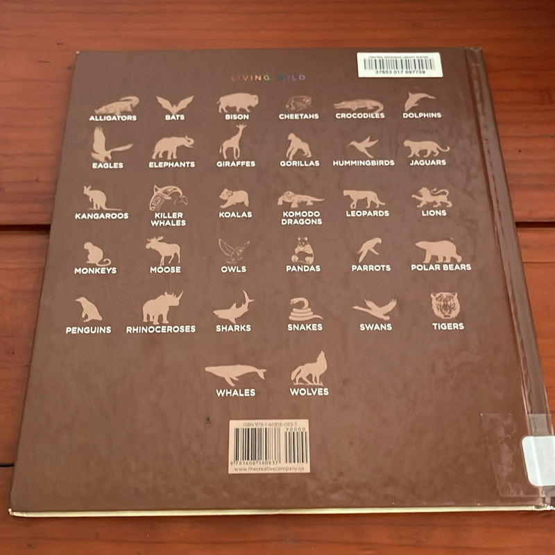 PICTURE BOOK Rhinoceroses 536039