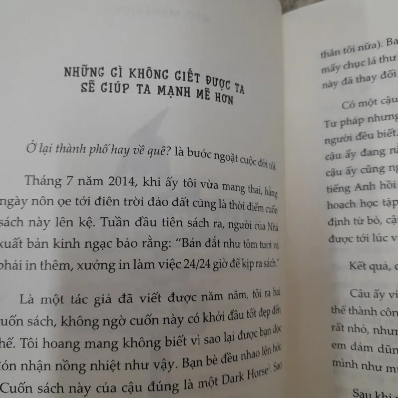 Tản văn Mèo Maverick. Ở lại THÀNH PHỐ hay VỀ QUÊ? 790583