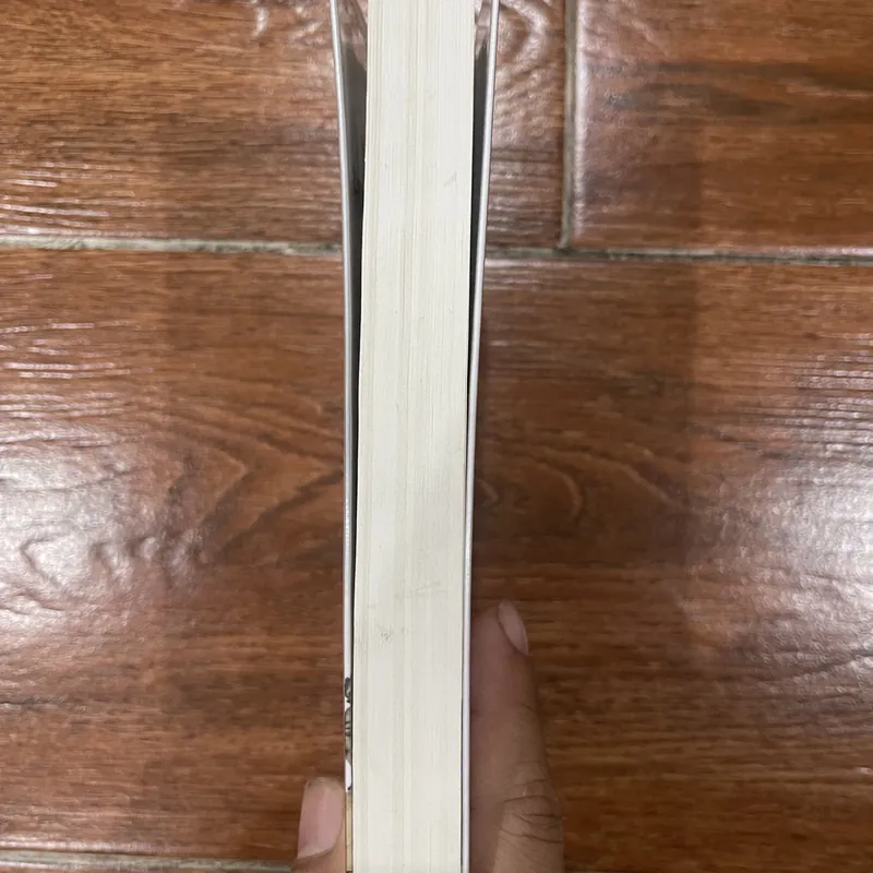 Hồi Ký Chiến Tranh (Tập 1: Tổ quốc gọi tên) - Charles De Gaulle (8) 590471