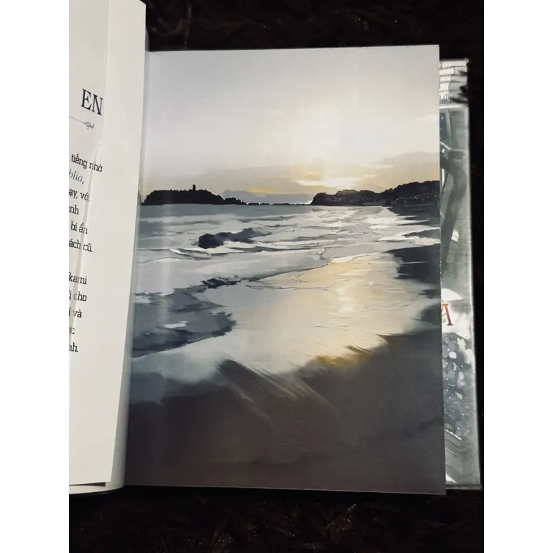 Tiệm sách cũ Biblia (4 tập)  738748