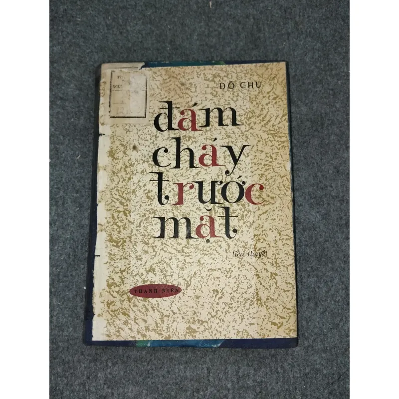 ĐÁM CHÁY TRƯỚC MẶT - ĐỖ CHU 588695