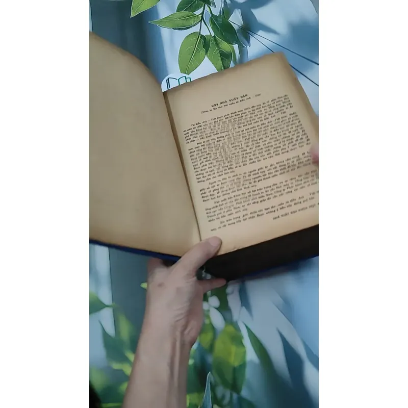 [MIỄN PHÍ BỌC SÁCH] Từ Điển Anh - Việt - Viện Ngôn Ngữ 750747