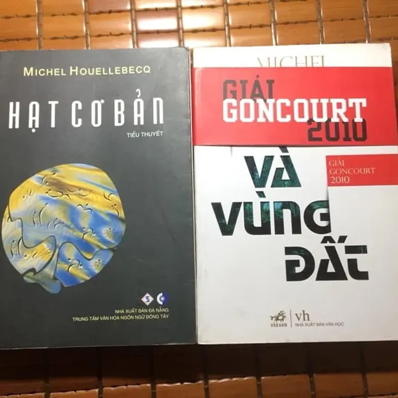 Hạt cơ bản, Bản đồ và vùng đất Michel Houellebecq 563256