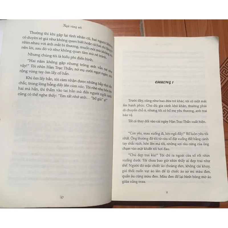 Tiểu thuyết ngôn tình trung quốc - Ngủ cùng sói - Diệp lạc vô tâm 714079