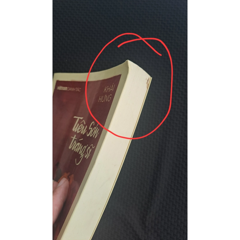 (Việt Nam danh tác) Tiêu Sơn tráng sĩ - Khái Hưng 466303