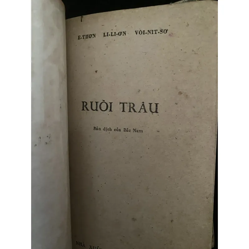 Ruồi Trâu- Theo Dấu Vết Ruồi Trâu  1030148