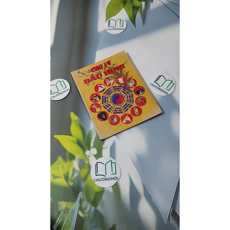 Cao Ly Đầu Hình 928569