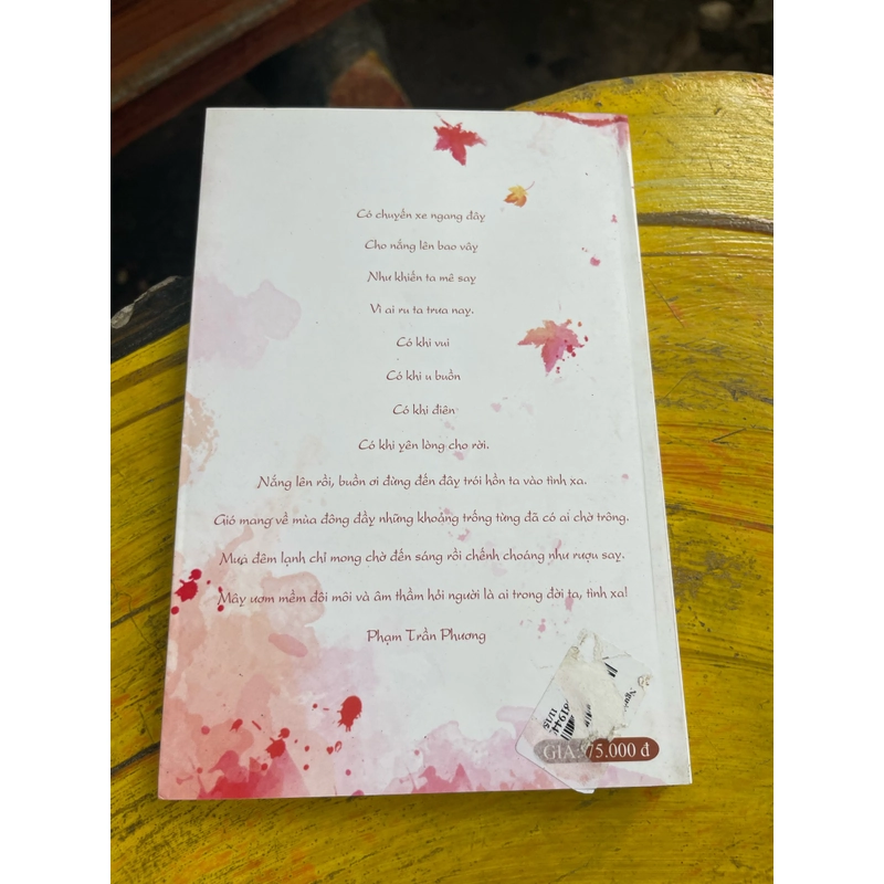 Người là ai trong đời- Thiên Phong 475928
