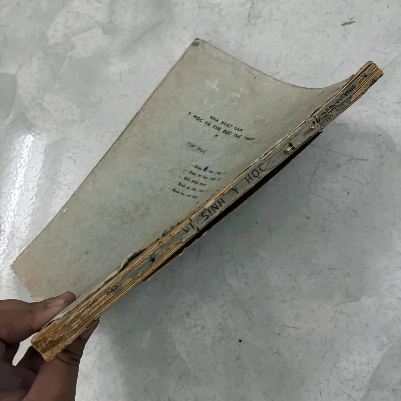 Vi sinh y học (Tập 2) - 1975s 1013298