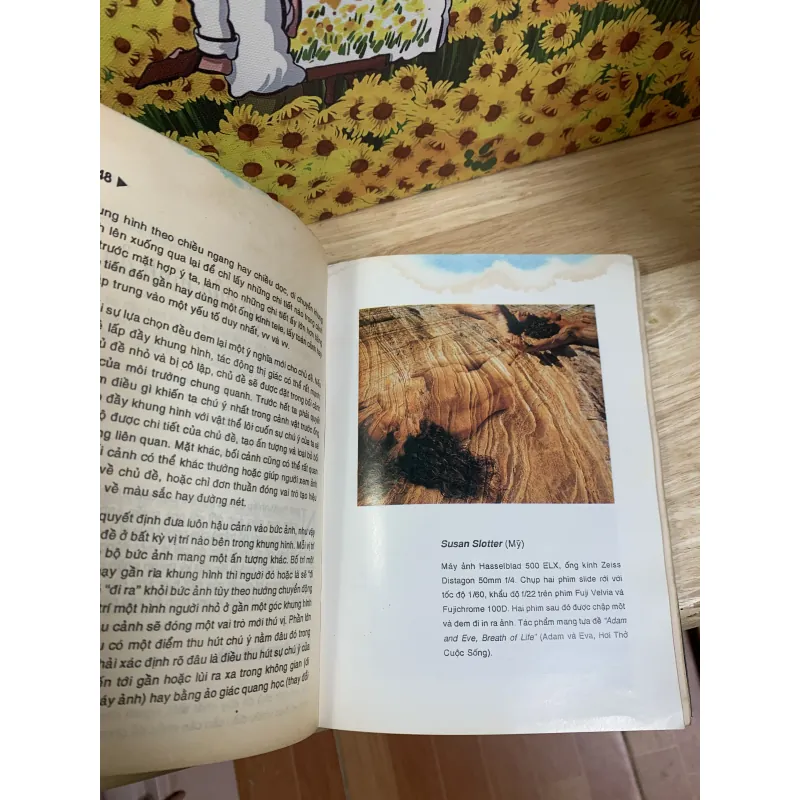 Nhiếp Ảnh Toàn Thư, Từ Máy Ảnh Đến Hình Ảnh - Trần Đức Tài 925857