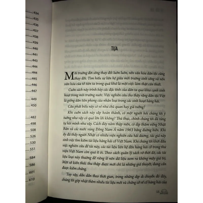 Văn hoá nước và hàng hải thời cổ của Việt Nam  706227