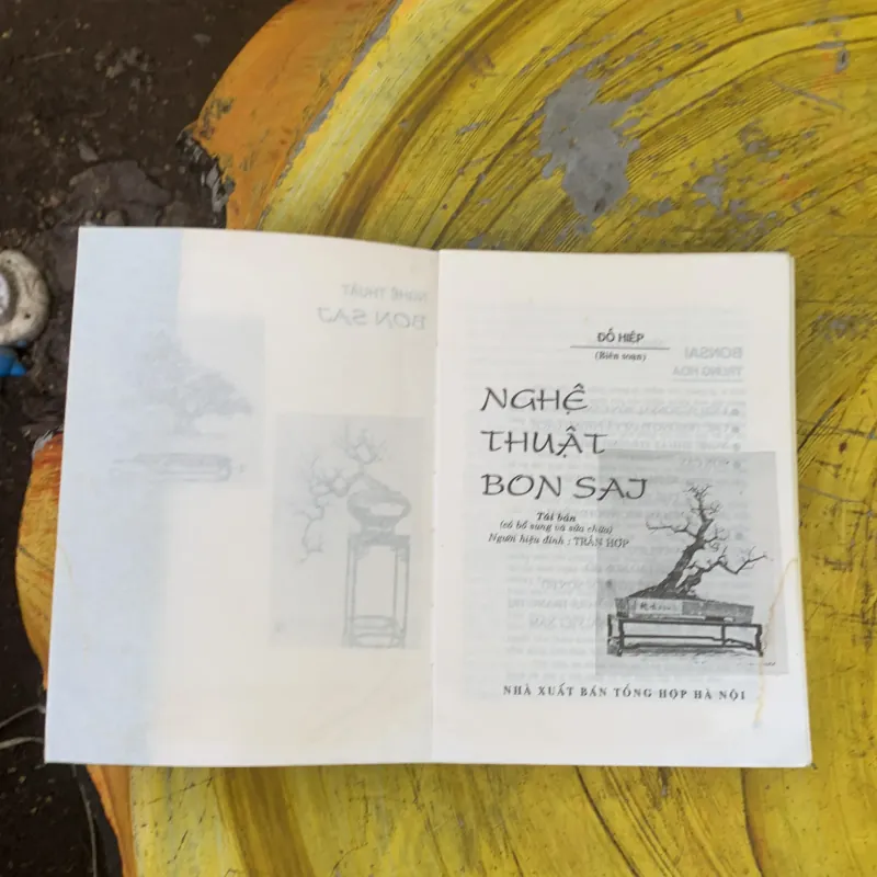 BONSAI CÂY DÁNG, THẾ VÀ NON BỘ - ĐỖ HIỆP 759688