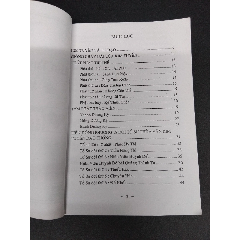 Đạo Thống mới 80% ố nhẹ HCM2207 Phát - Nhất Sùng - Đức TÂM LINH - TÔN GIÁO - THIỀN 916521