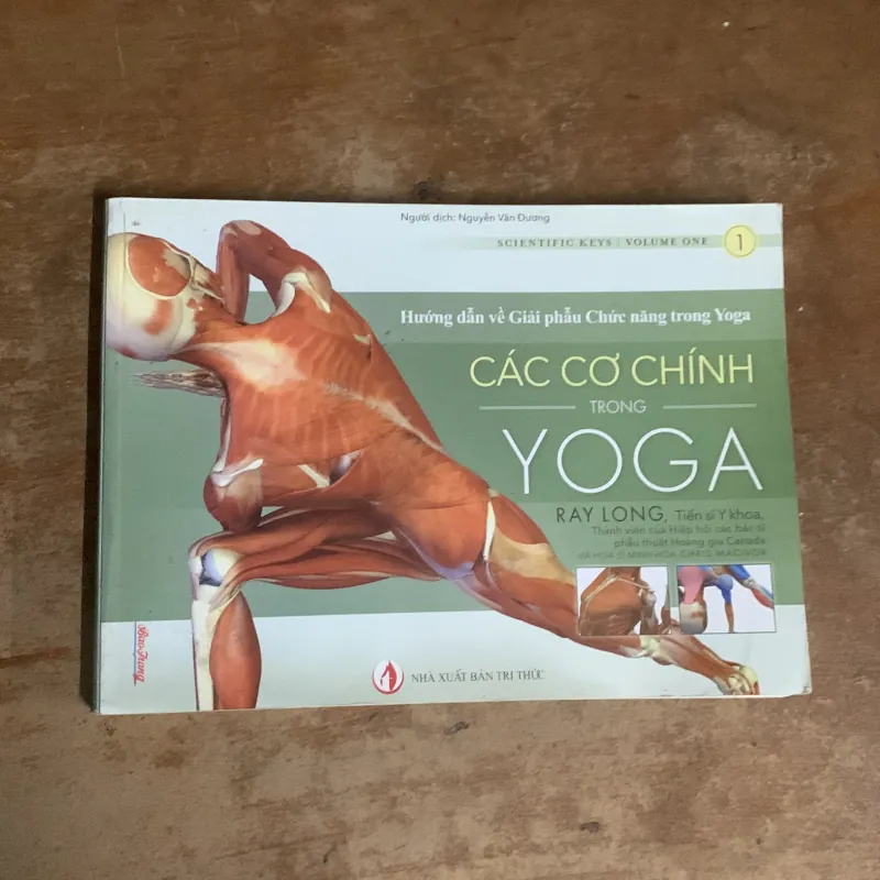 CÁC CƠ CHÍNH TRONG YOGA - RAY LONG  935200