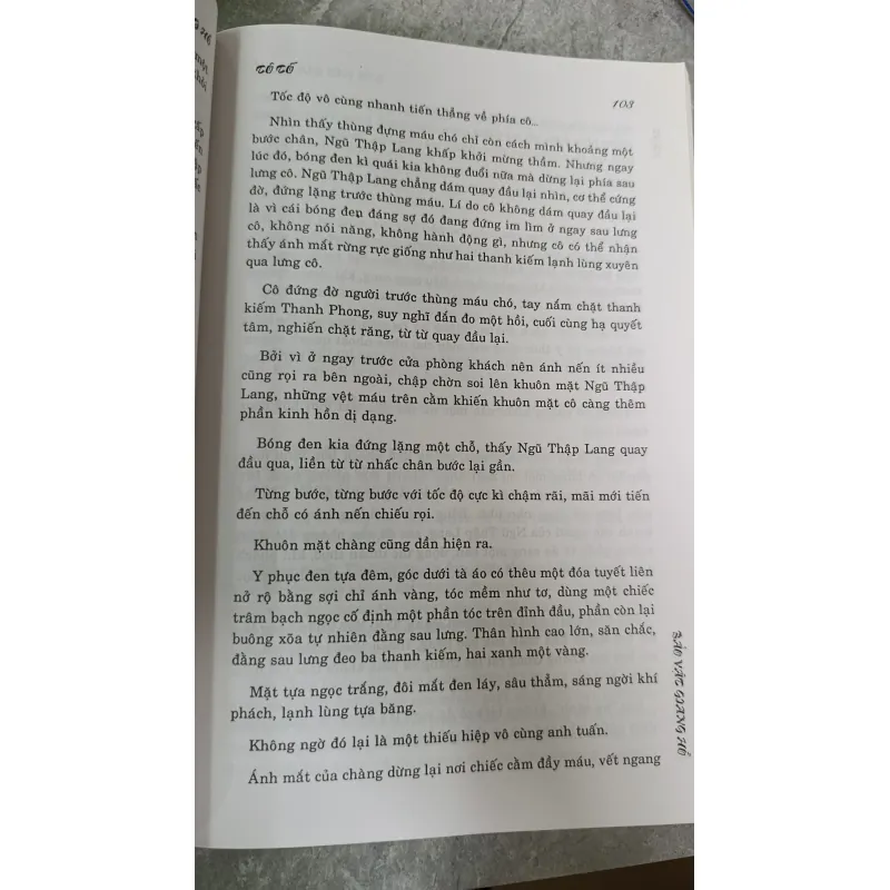 BẢO VẬT GIANG HỒ - TỐ TỐ (tiểu thuyết) 674371