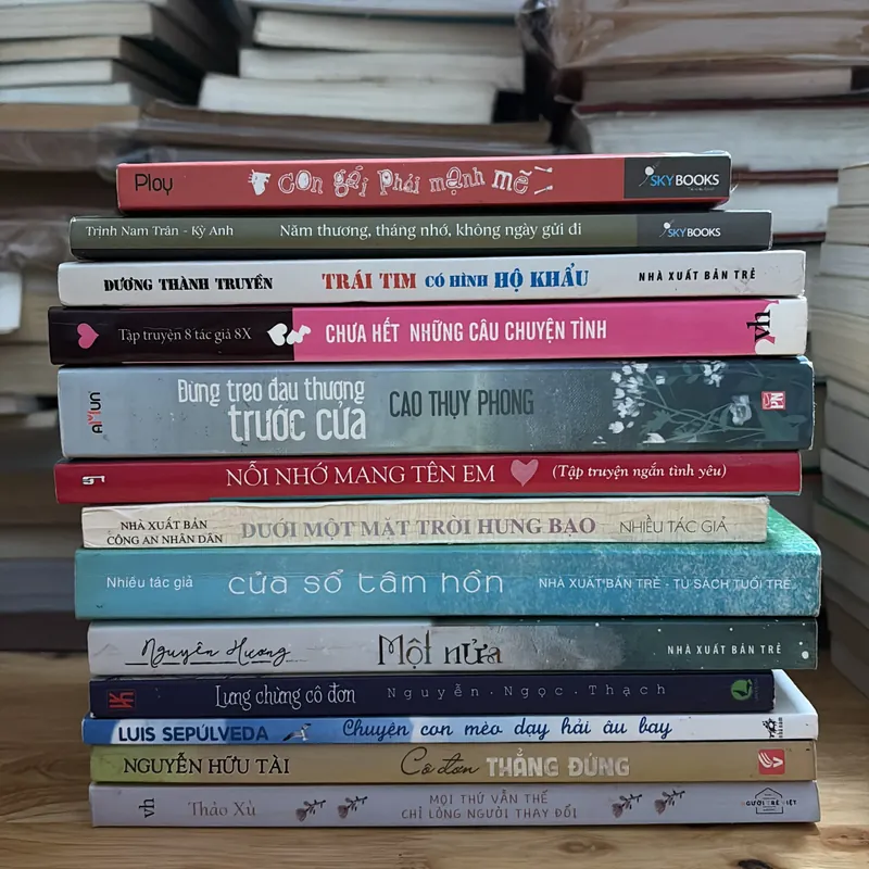 Combo Sách: 13 Cuốn Sách Văn Học Đủ Thể Loại 703657
