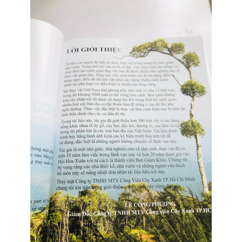 📚 500 LOÀI CÂY THƯỜNG DÙNG TRONG THIẾT KẾ CẢNH QUAN – Đinh Quang Diệp 519812