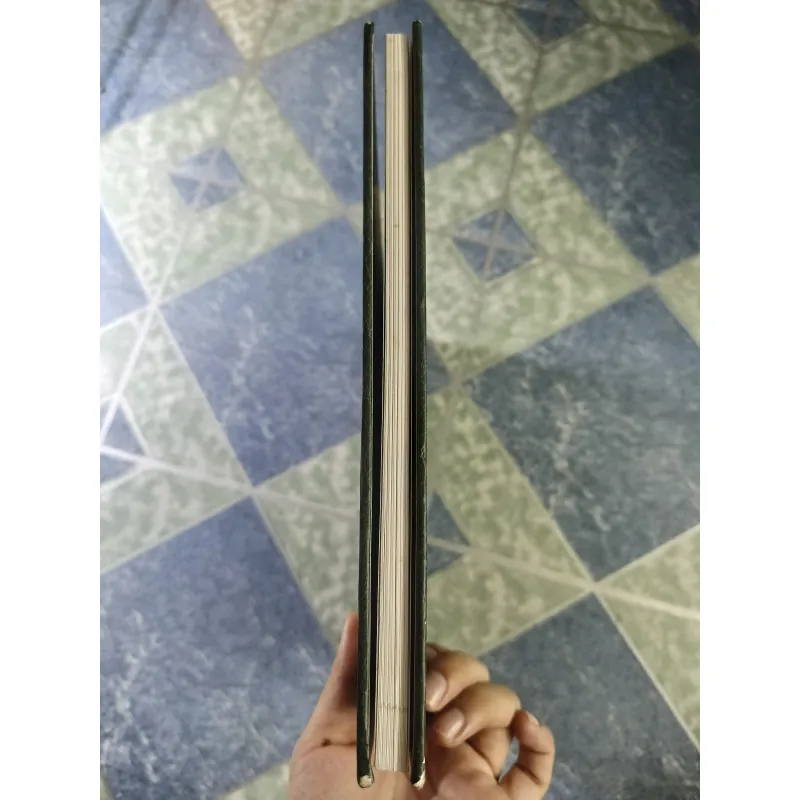 Lược sử nước Việt Nam bằng tranh - Viet Nam- A Brief History in Pictures 712394