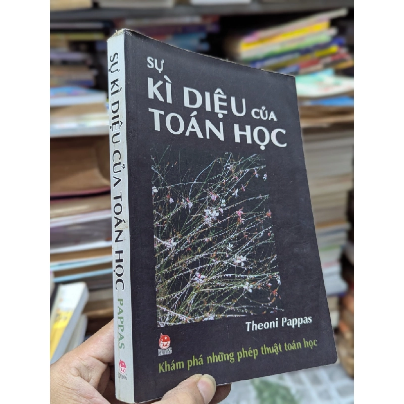 Sự diệu kỳ của toán học - Theoni Pappas 184866
