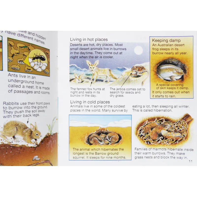 What's Under the Ground ? (Usborne Starting Point Science) 270574