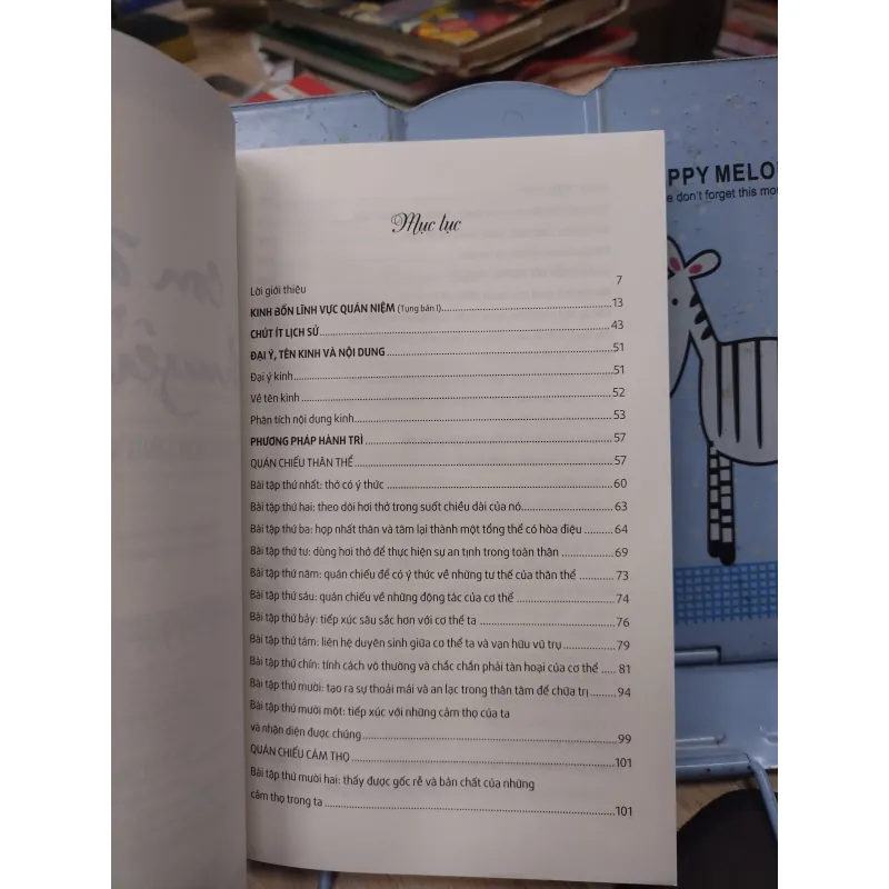 Sách: Con đường chuyển hoá - TG: Thích Nhất Hạnh (B1) 782723