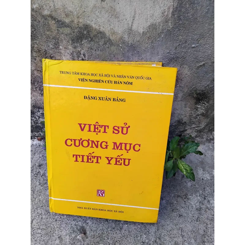 Việt sử cương mục tiết yếu của Đặng Xuân Bảng  1026057