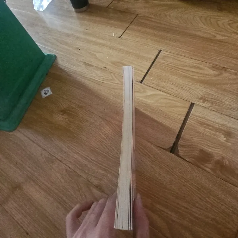 The Lonely Pony Giá 20k  604040