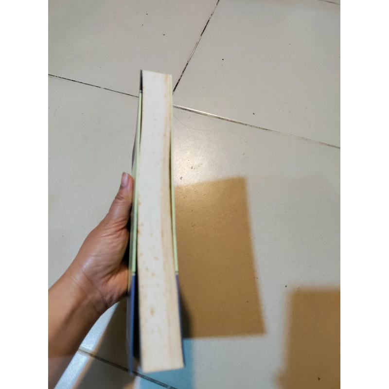 Dịch và nghiên cứu kim vân kiều lục 537975