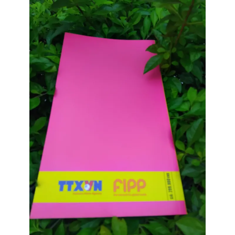 Đổi mới sáng tạo báo chí 2020 - 21 báo cáo toàn cầu 995515