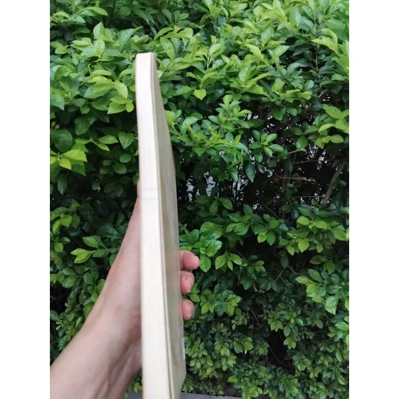 Hiền tập thơ nhạc của Nguyễn Thụy Kha 977169