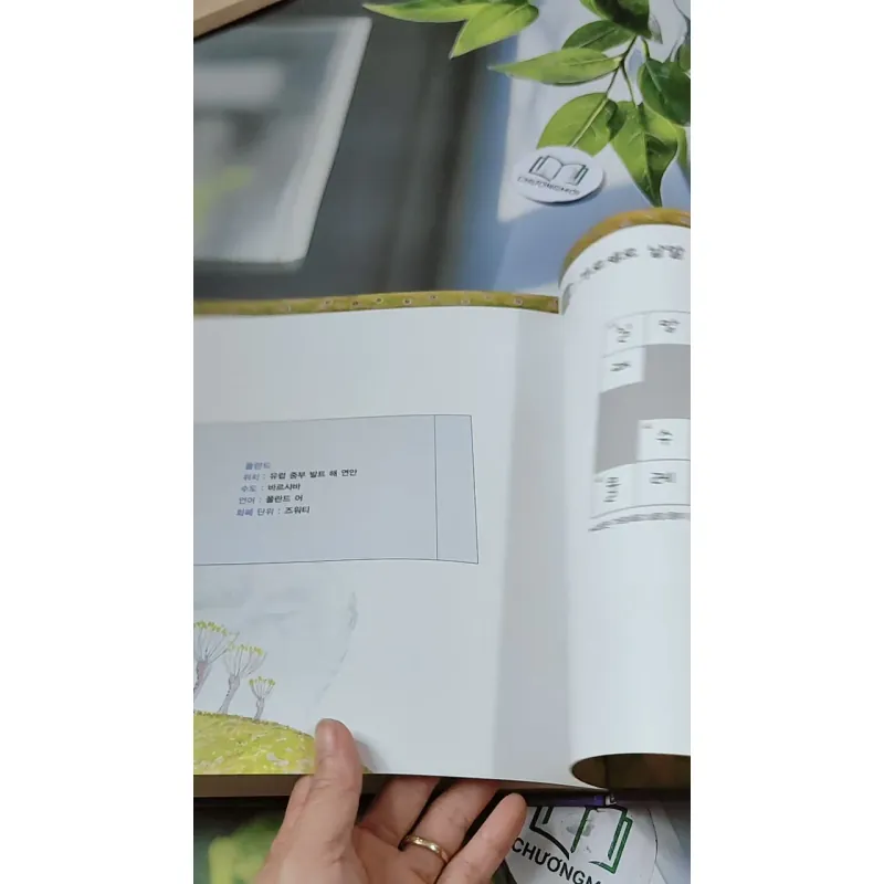 [Tặng nẹp góc] Truyện thiếu nhi Hàn Quốc: Moyamo Anu 47 -  모야모 아누와: 왕이 된 재봉사 732048