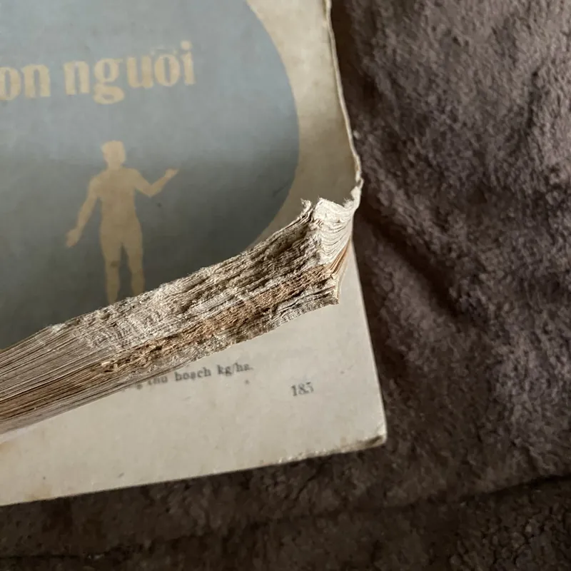 Sinh quyển và vị trí con người 674666