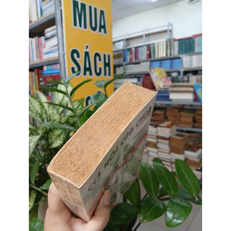 CƠ HỘI CỦA CHÚA - NGUYỄN VIỆT HÀ 1038269