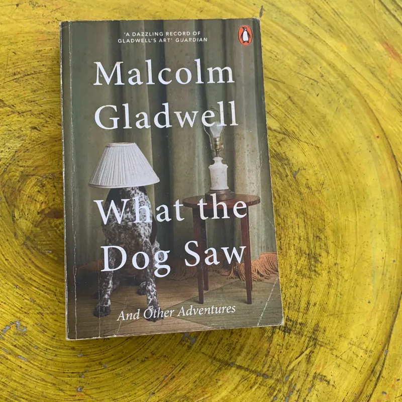 WHAT THE DOG SAW - MALCOLM GLADWELL 790299
