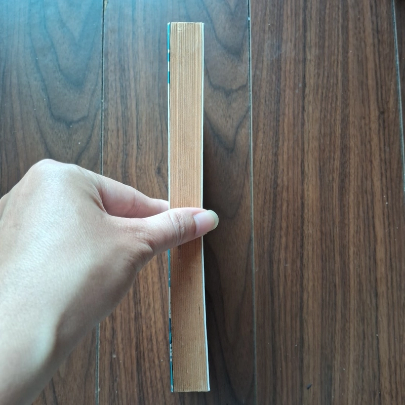 Cô nàng mộ bên  504988