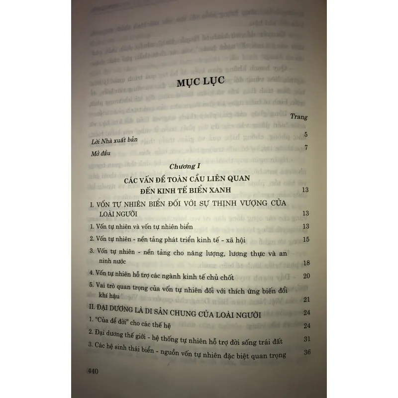 Kinh tế biển xanh 744789