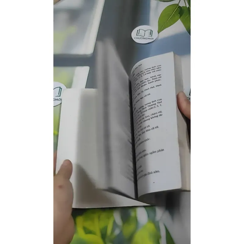 Vận Mệnh Tình Duyên Hôn Nhân Sự Nghiệp Tài Lộc Tính Cách Qua 12 Con Giáp Trọn Đời - Hà Th 727385