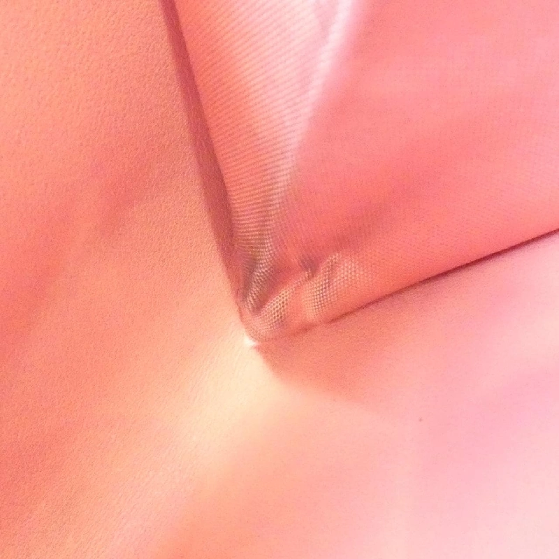 Ví Dior Caro Scarlet của Christian Dior S5032UWHC 619203