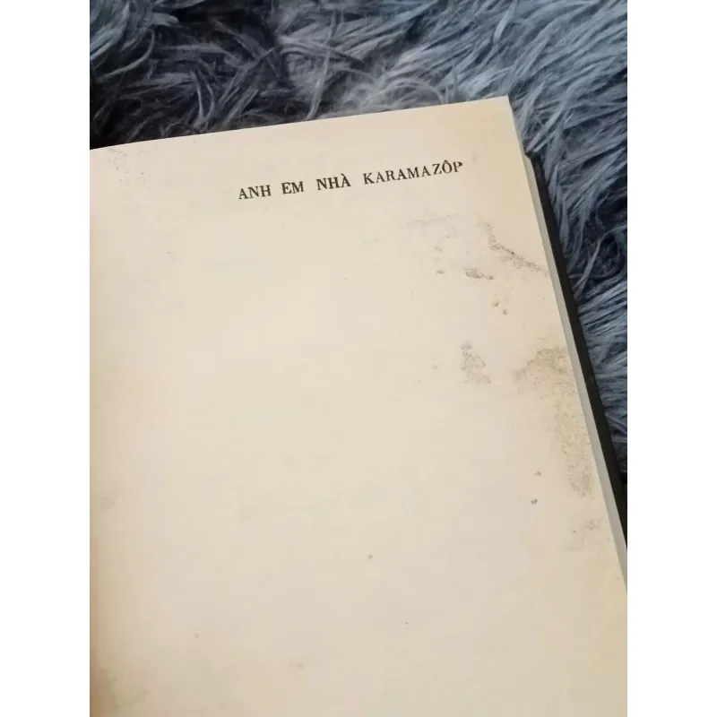 Anh em nhà Karamazov 791299