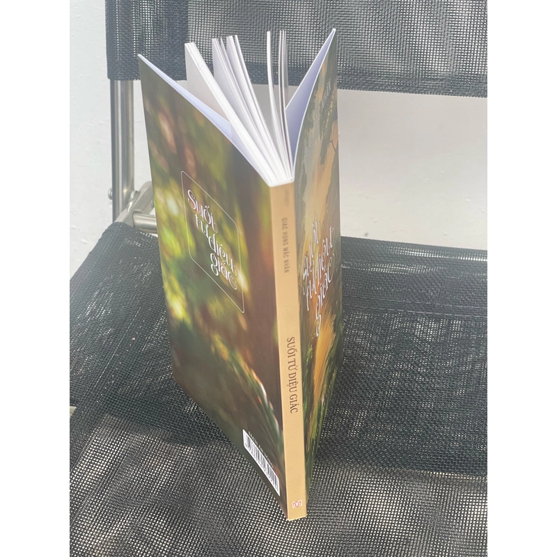 Suối nguồn diệu giác (sách màu) 534268