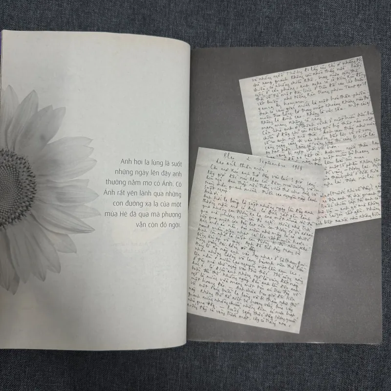 Thư tình gửi một người - Trịnh Công Sơn 761095