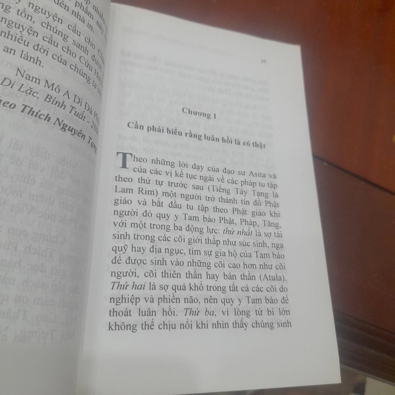 Martin Willson - THUYẾT LUÂN HỒI & PHẬT GIÁO TÂY PHƯƠNG 536328