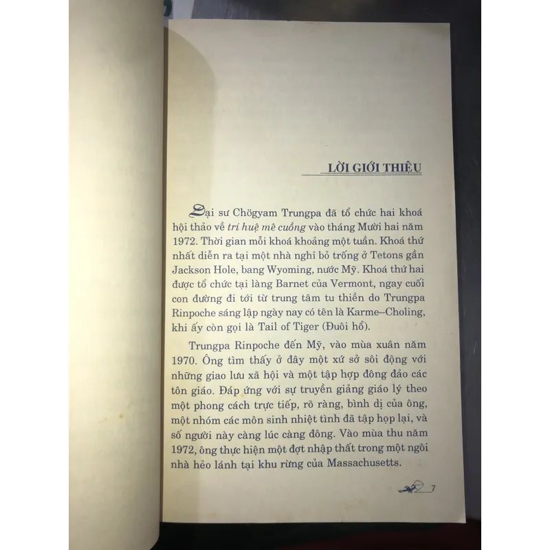 Trí huệ mê cuồng  714027