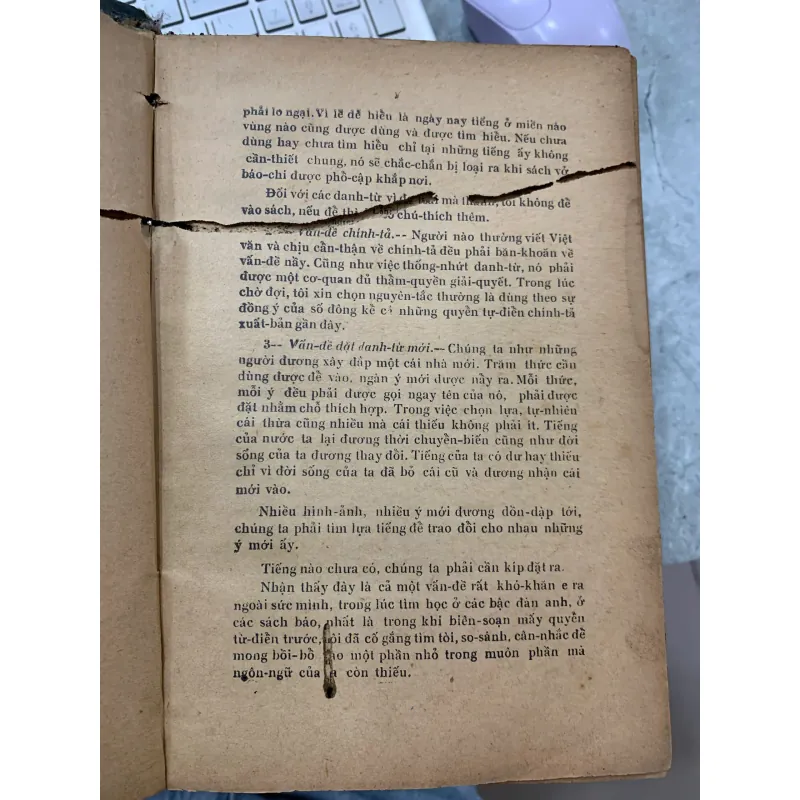 VIỆT NAM TÂN TỪ ĐIỂN 931263