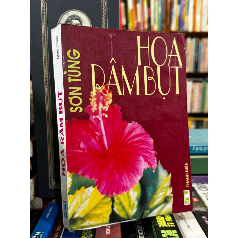 Hoa Dâm Bụt - Sơn Tùng 473380
