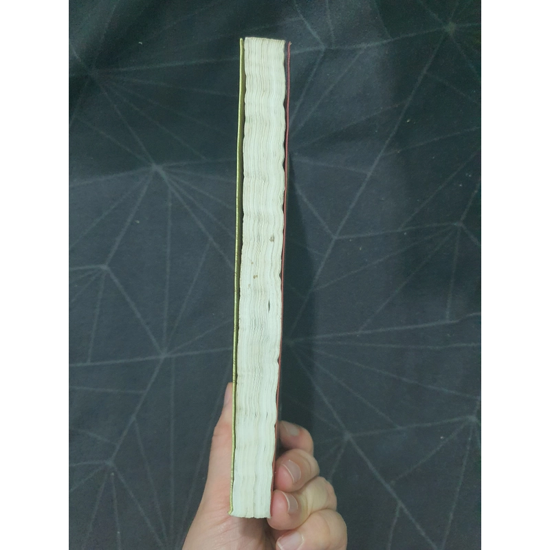 "Chuyện tình Lệ Giang" - Hoa Nam 498940